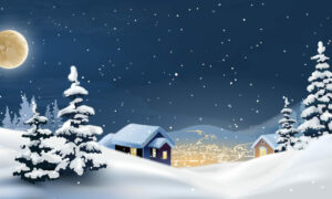 Vector illustration of a winter landscape. Snowy Christmas night.