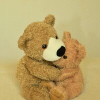teddy-1112568_1280